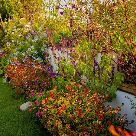 Kypsalos Apartment *